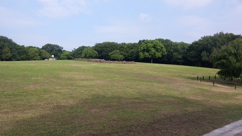 20170810_080752