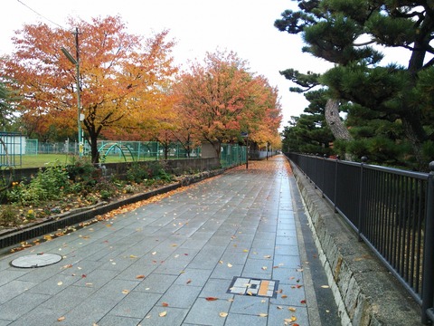１１月末 (3)