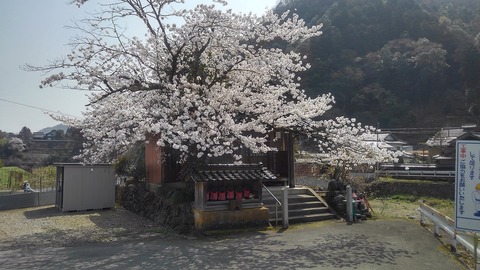 KIMG0966