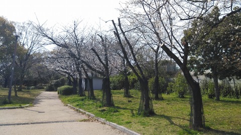 KIMG2563