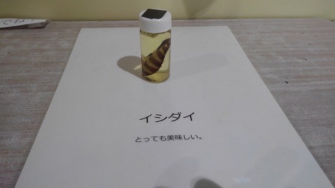 KIMG1996