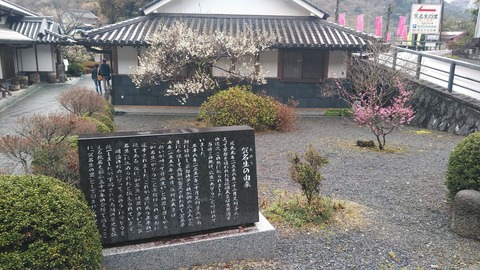 KIMG2343