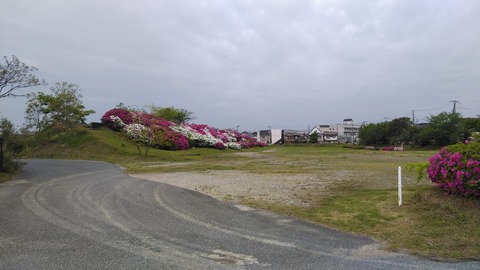 KIMG2941