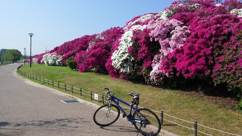 ５月１日 (7)
