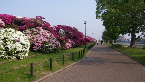 20170501_072941