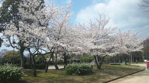４月８日 (7)