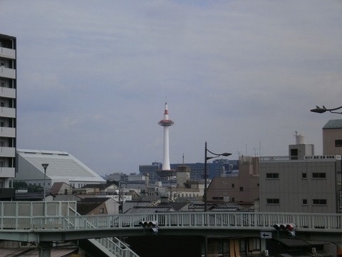 P6030030