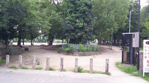 20170709_081140