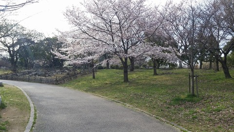 20170406_073330