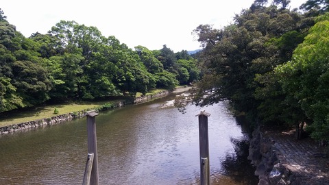 20170614_133614
