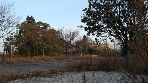 20170305_065653