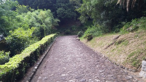 20170727_140914