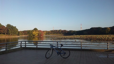 １１月１５日 (6)