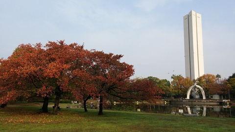 20171115_082702