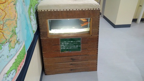 KIMG1978