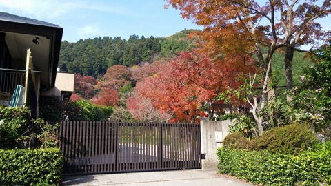 20171117_124728