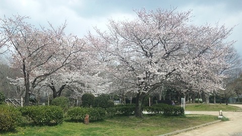 ４月８日 (11)