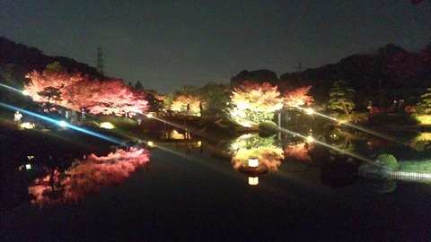 １１月２３日 (13)