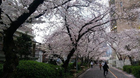 20170409_123316