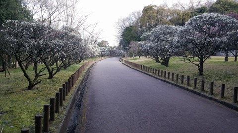 20170308_073802