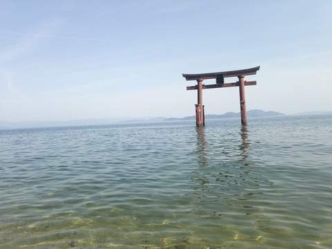 ４月末 (10)
