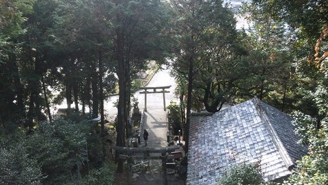 元旦 (2)