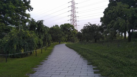 KIMG8768