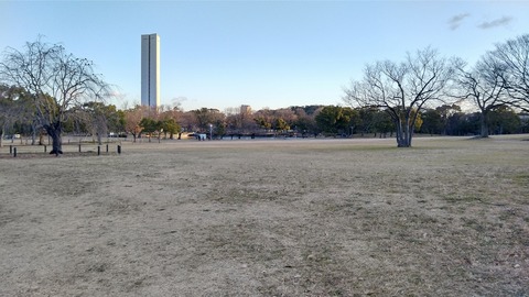 KIMG0800