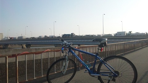 １１月８日 (4)