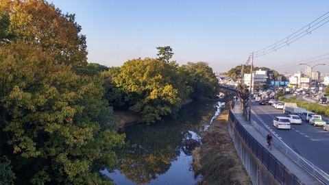 20171117_080837_HDR