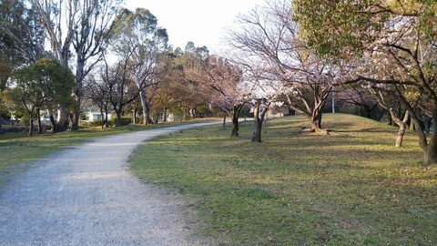 20170404_065338