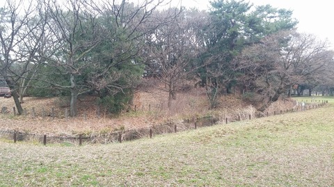 20170306_082220