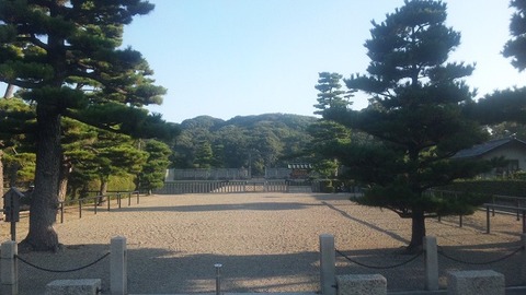 １０月１６日 (8)