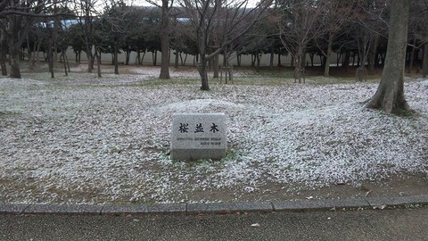 2月8日 (10)