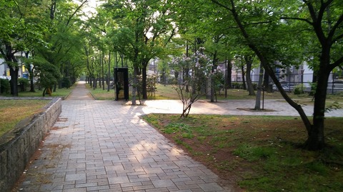 20170501_064055