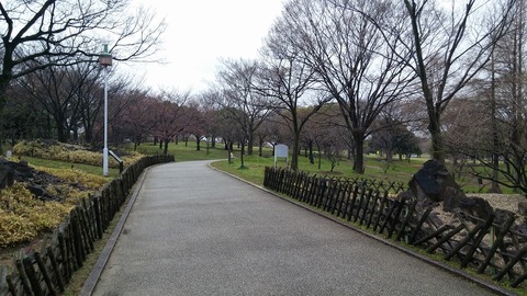 20170401_075701