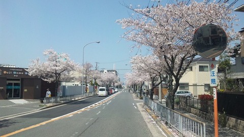４月１２日 (10)