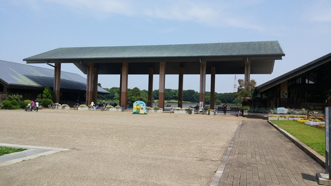 20170514_105648
