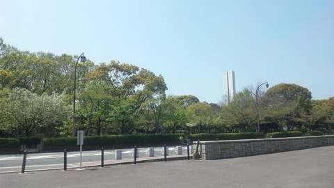 ４月１６日 (8)
