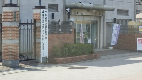 20170327_121904_HDR