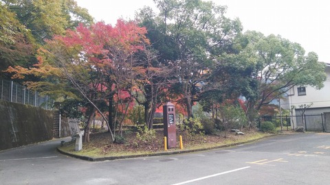KIMG0917