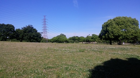 20170606_075526