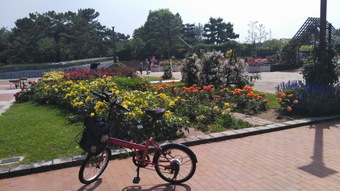 KIMG3955