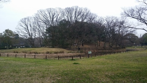 20170306_082517