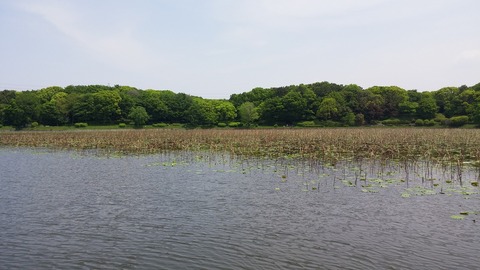 20170514_105759