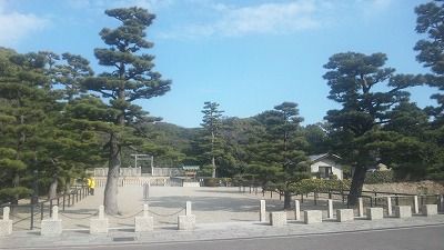 SH3I0766