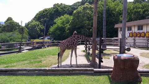 20150525_130624