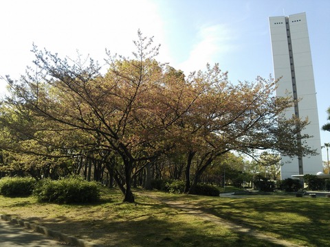 ４月１５日 (3)