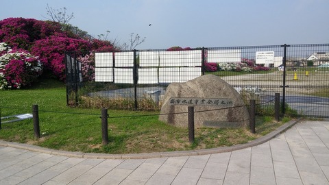 20170501_072609