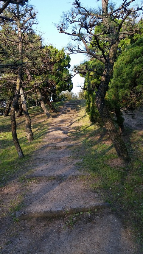 20170404_065945